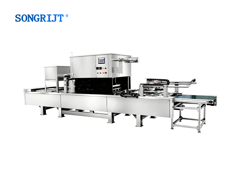 Automatic Continuous Vacuum Chamber Modified Atmosphere Packaging Machine