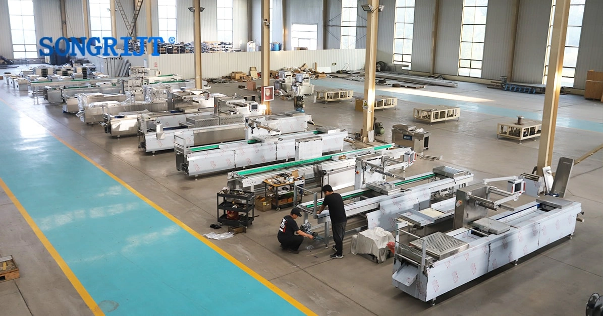 Challenges in the Vacuum Packaging Machinery Industr